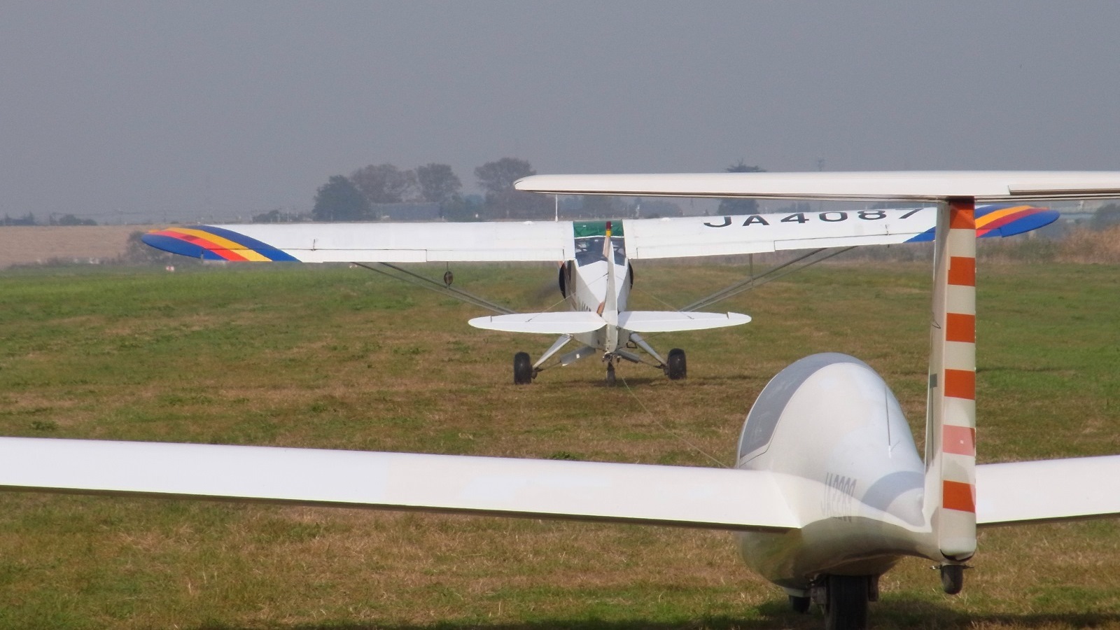 Super Cub