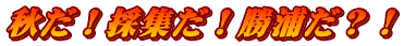 秋だ！採集だ！勝浦だ？！ 