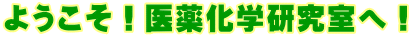 ようこそ！医薬化学研究室へ！ 
