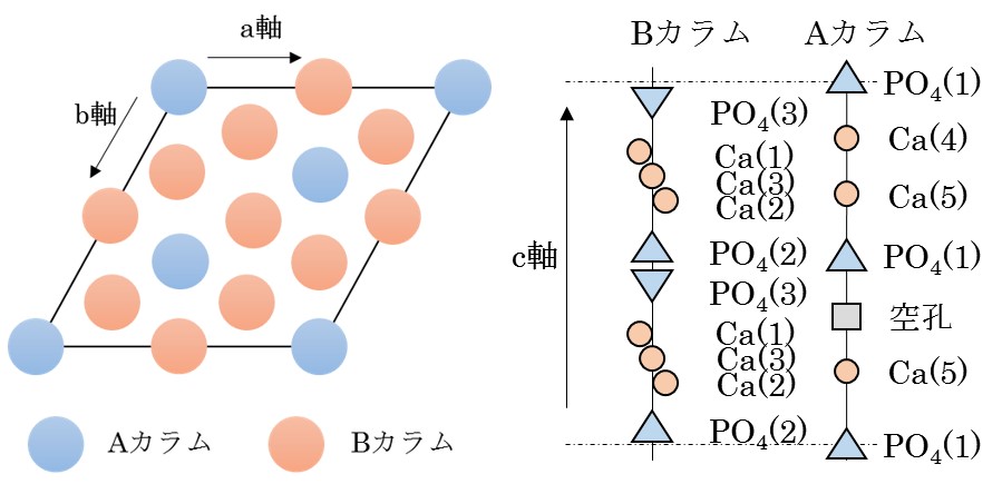 リン酸カルシウム系光触媒