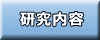 研究内容 