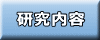 研究内容 