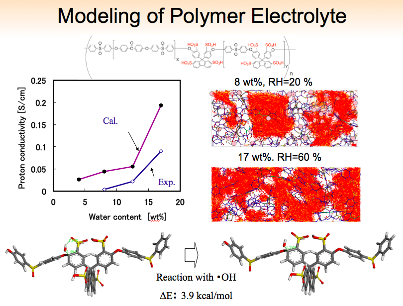 Modeling of Polymer Electrolyte