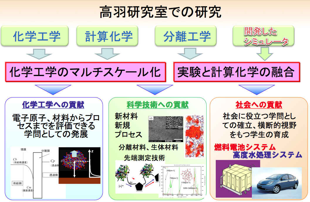 高羽研究室での研究