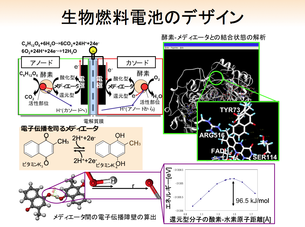 生物燃料電池のデザイン