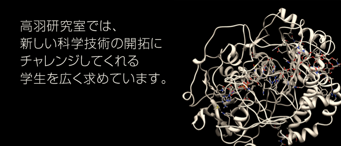 高羽研究室では、新しい科学技術の開拓にチャレンジしてくれる学生を広く求めています。