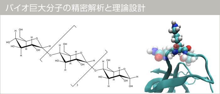 バイオ巨大分子の精密解析と理論設計