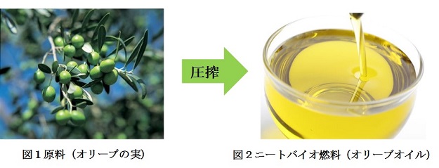 ニートバイオ燃料