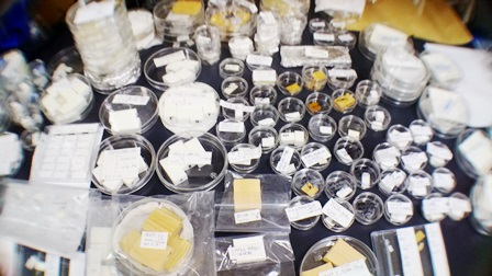 凄ワザ撮影のために調製したポリマーブラシ グラフト プラスチック試料。 工学院大学  汚れないまな板