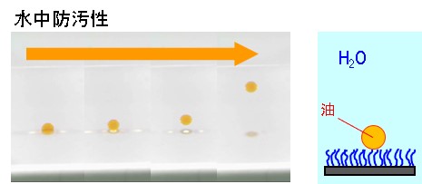 ポリマーブラシを用いた防汚性付与 ラー油が浮かび上がる Antifouling property of polymer brush Chili oil rising up