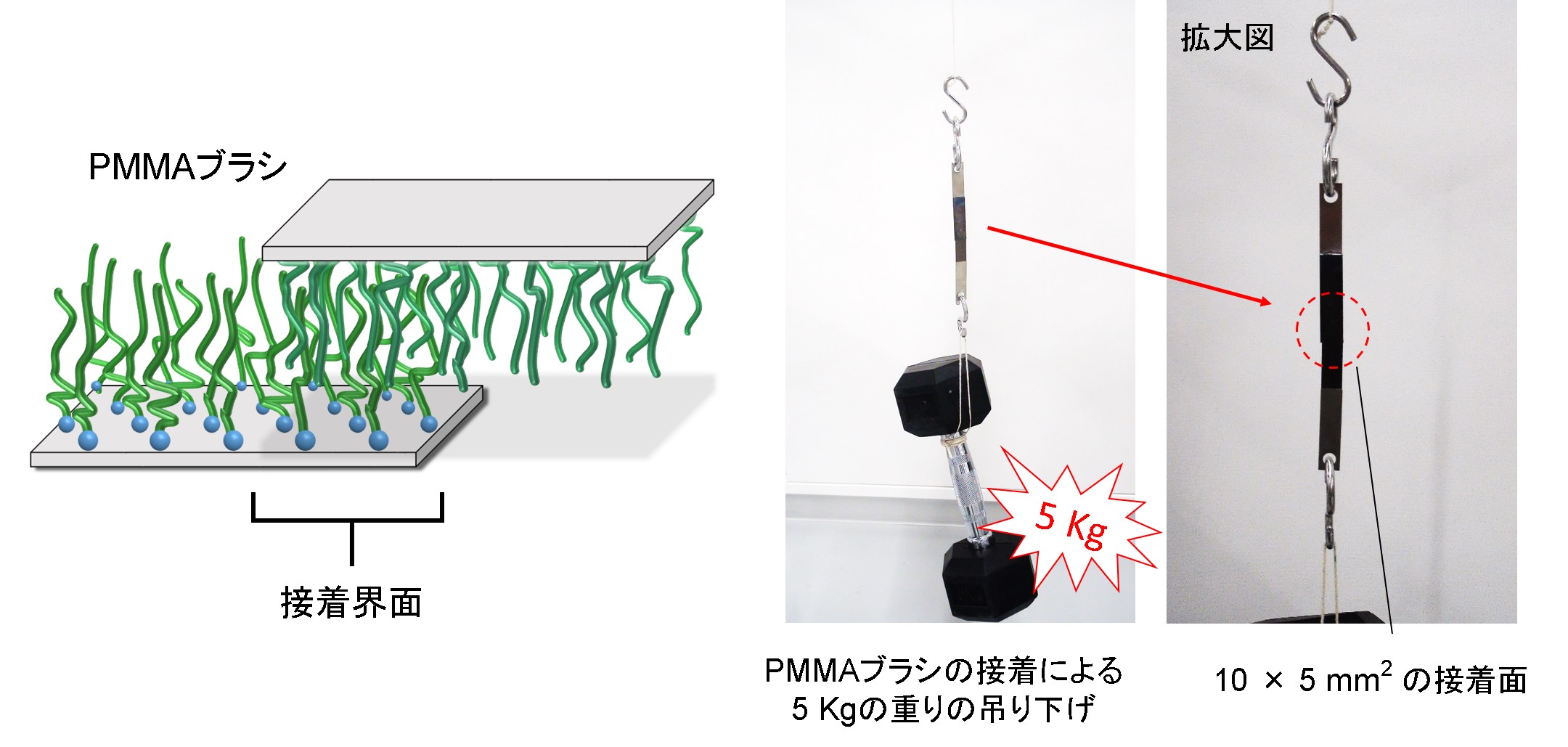 ポリマーブラシを用いた接着 Adhesion using a polymer brush