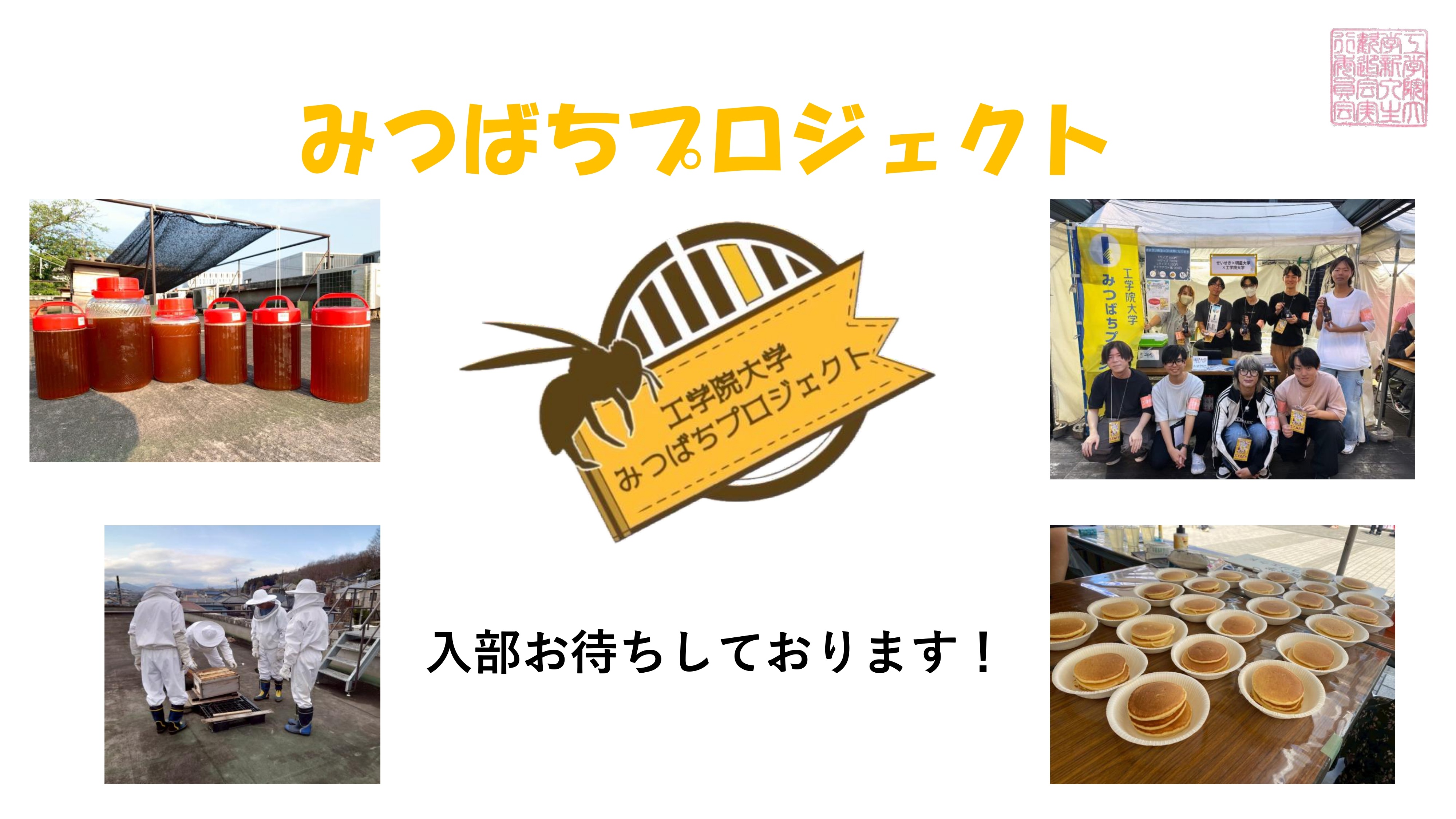 みつばちプロジェクト