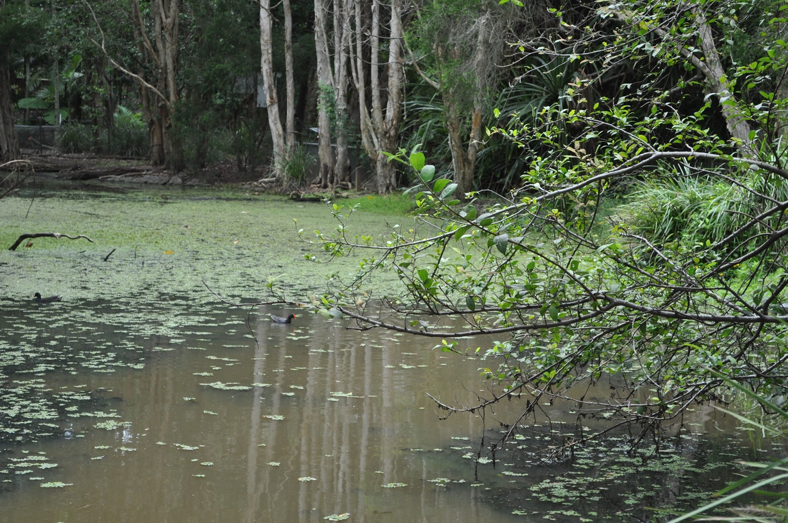 カランビン国立自然公園の風景１