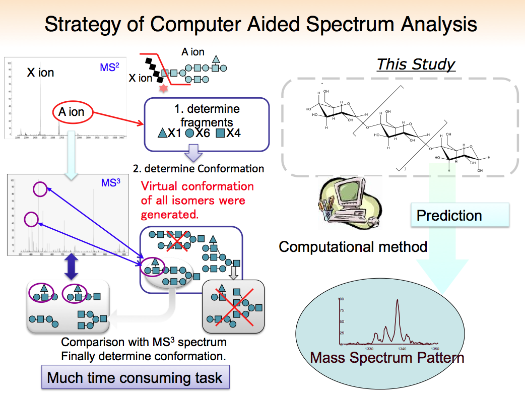 Strategy of Computer Aided Spectrum Analysis